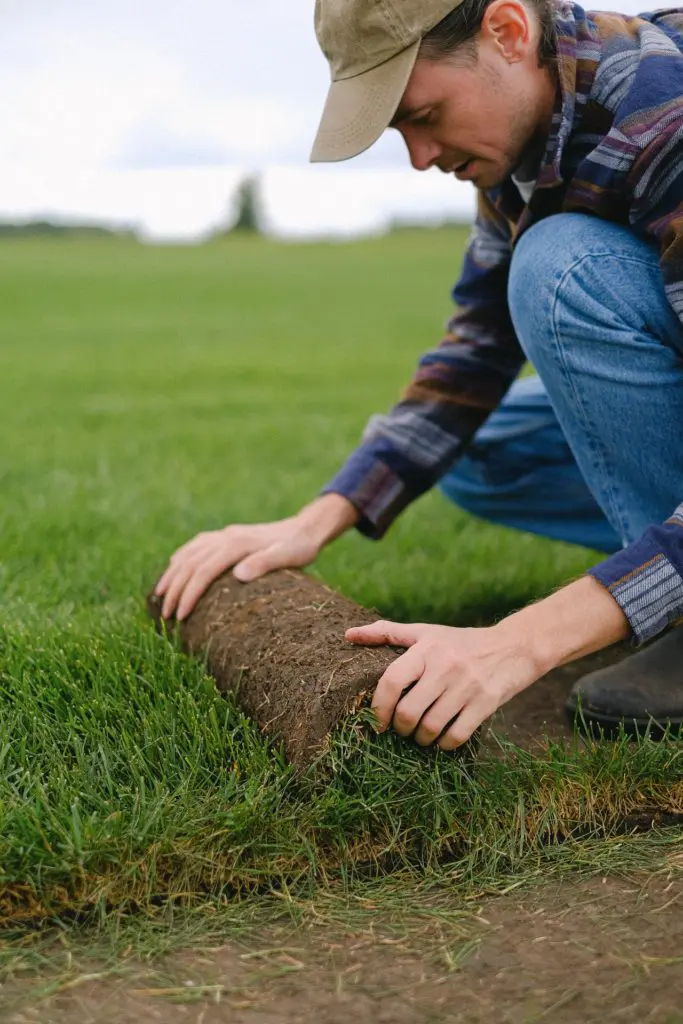 Image of a man installing a roll of sod by rolling it out on the ground. He's wearing a hat, long sleeves, and long pants to try to avoid the risk of skin cancer in his occupation.